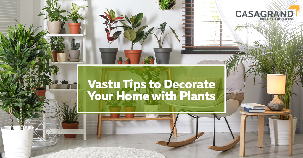 Vastu Tips to Decorate Your Home with Plants